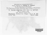 Image Associated With the Occurence